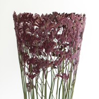 <a href="https://www.galeriegosserez.com/artistes/clegg-shannon.html">Shannon Clegg</a> - "Flora" - Large Ruby Sculpture